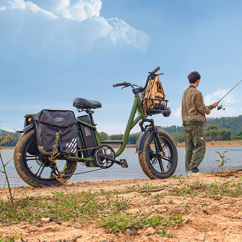 2025 Fiido T1 Pro Cargo Bicicleta eléctrica Fatbike utilitaria