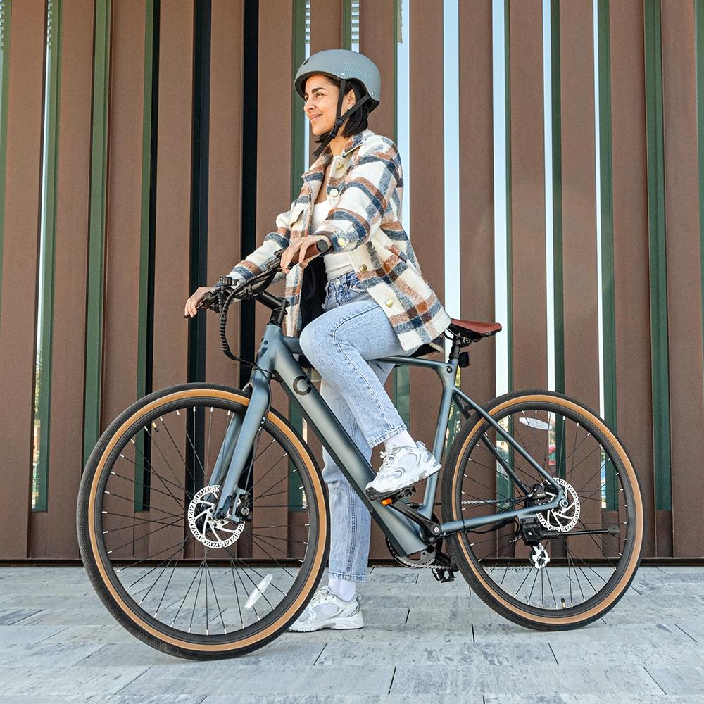 Bicicleta eléctrica Sprint Silver