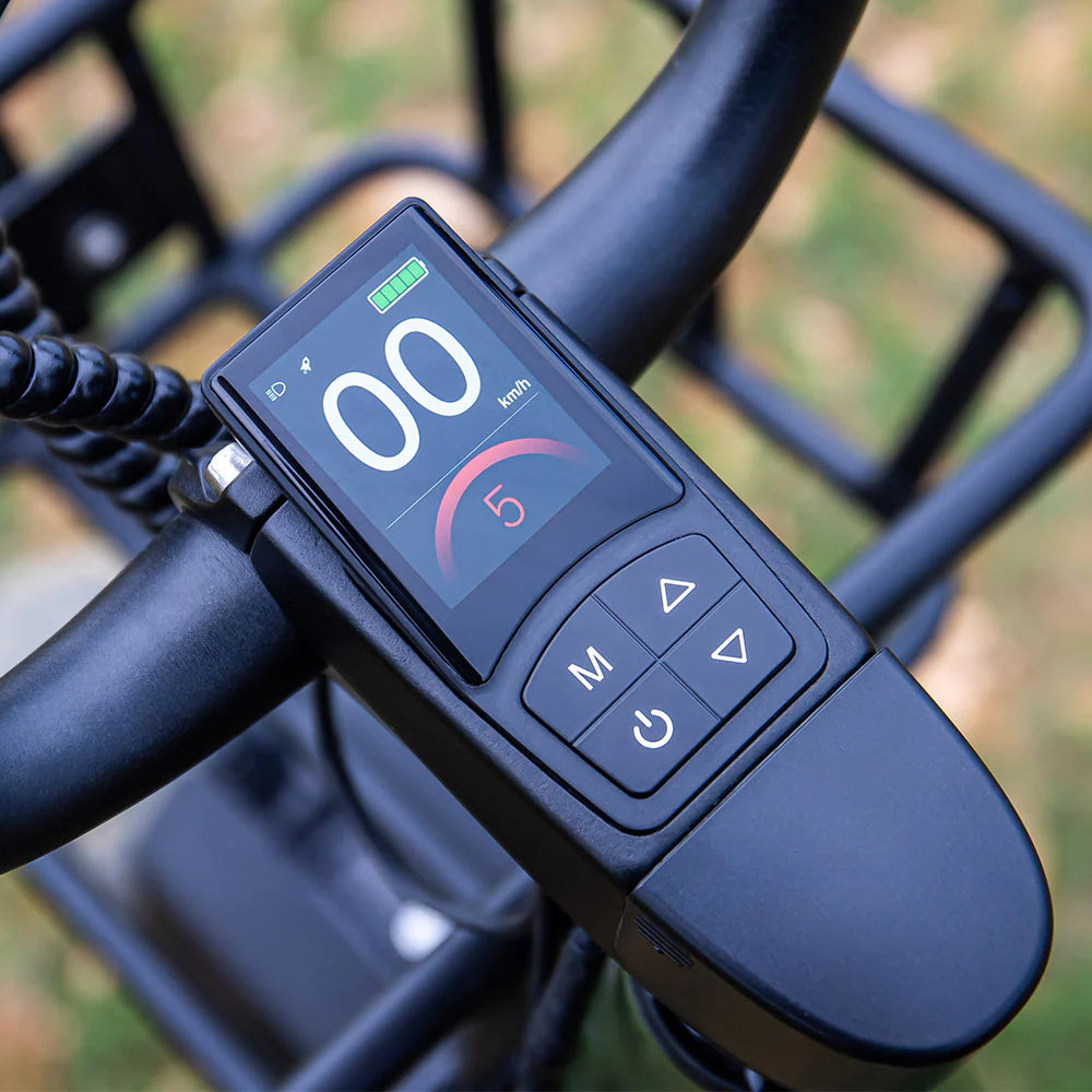2025 Fiido T1 Pro Cargo Bicicleta eléctrica Fatbike utilitaria