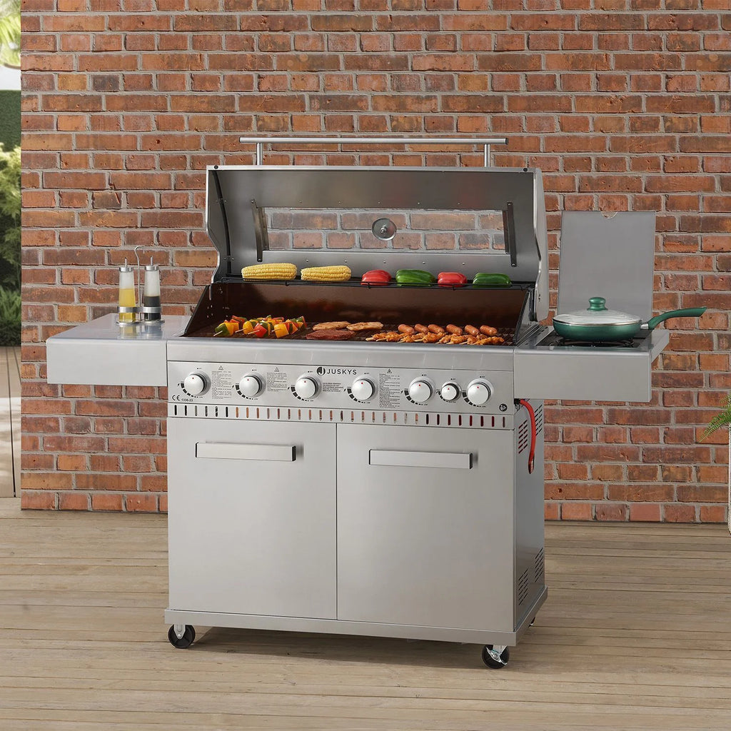 2025 Barbacoa de gas Minnesota